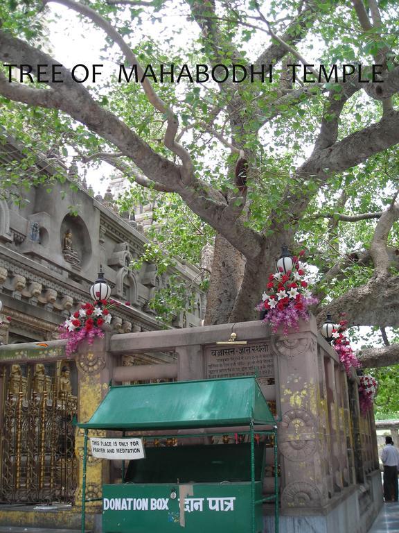 Hotel Lumbini International Bodh Gaya Exterior foto